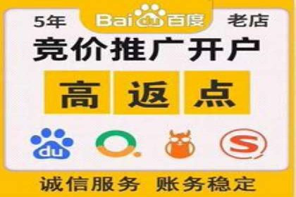 百度竞价广告成功案例：如何实现ROI最大化